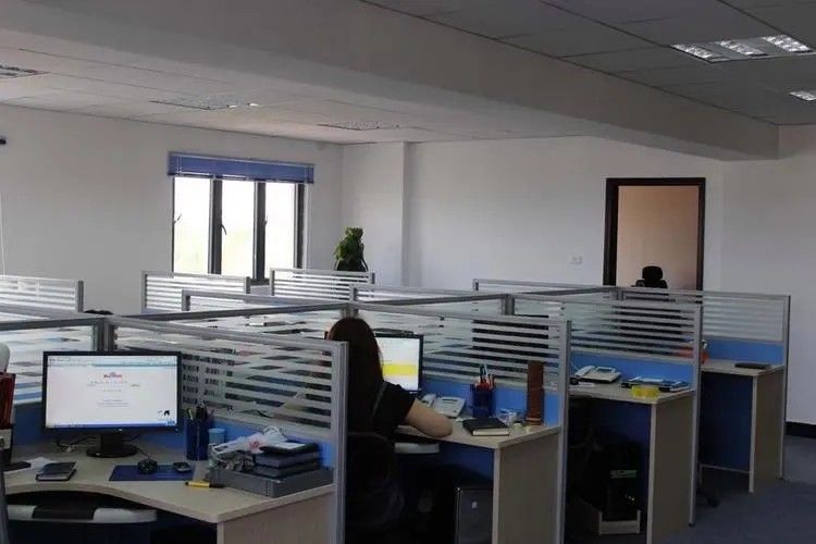 Cina DianBingYuan Technology Co., Ltd Profil Perusahaan